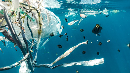 Blue ocean water and fish swimming around plastic trash