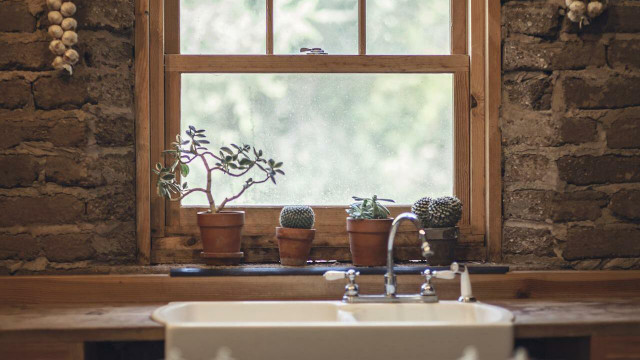 Kitchen Plants