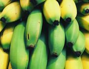 how to ripen green bananas