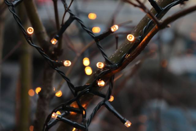 Consider using just a string of LED lights on your minimalist Christmas tree. 