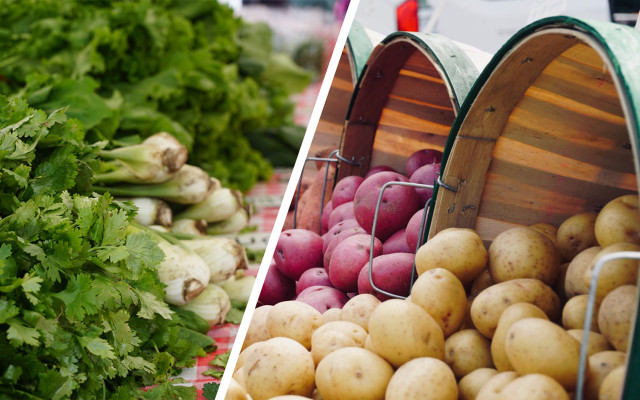 Green Thanksgiving locally grown food farmers market