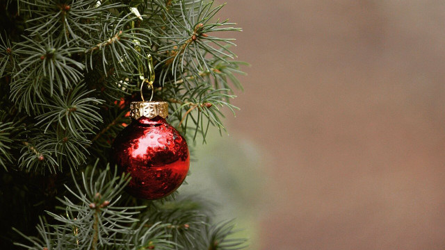 how to keep christmas trees fresh