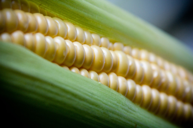 Corn off the cob is technically a fruit.