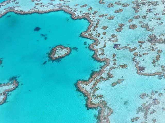 The unique environment of the reef is endangered by overtourism.