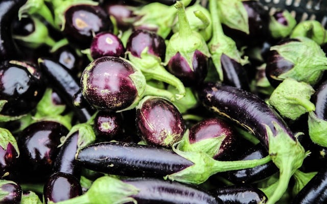 But organic, locally sourced eggplants – they do not need to be transported a long way and are cultivated in a sustainable way.