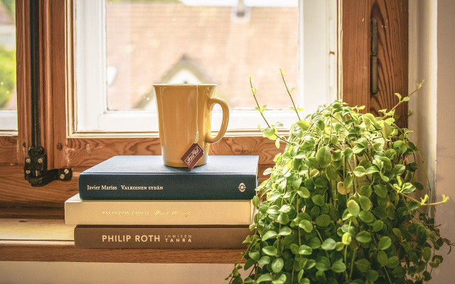 houseplants bookshelf