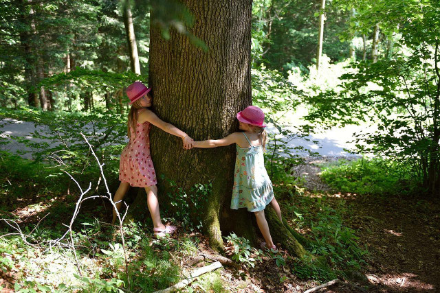 Teach your kids to get in tune with nature with a little hug.