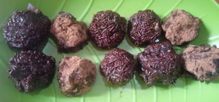 vegan truffle