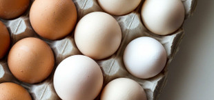 how long do farm fresh eggs last