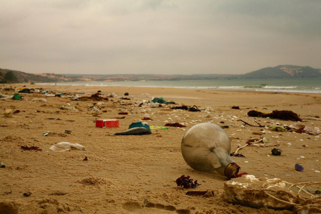 Microplastic was first discovered on British beaches in 2004.