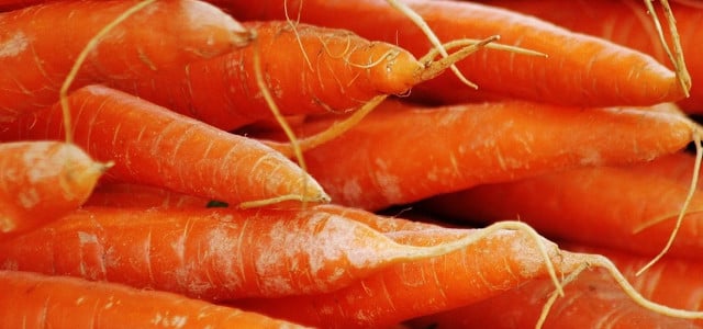 freezing carrots