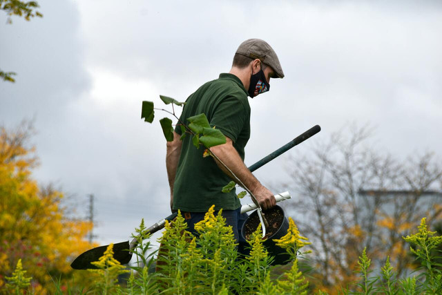 Ad revenue generated by the Ecosia search engine funds local environmental initiatives.