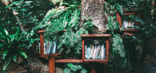 books about trees