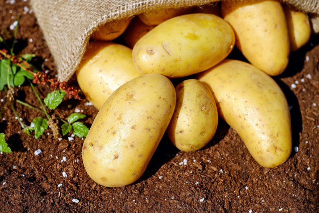 Potatoes can steal nutrients from cucumbers. 