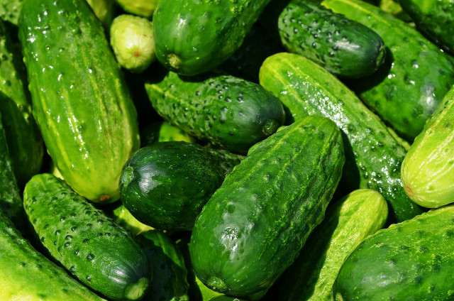 Freeze cucumbers with some added zing.