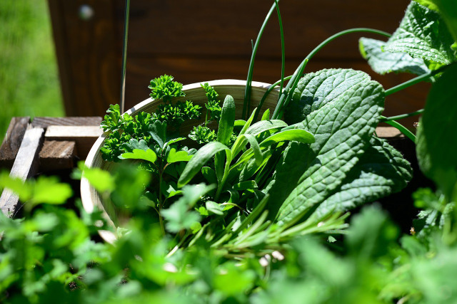 Herbs will allow you to add fresh elements to your meals while attracting pollinators.