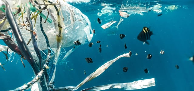 Blue ocean water and fish swimming around plastic trash