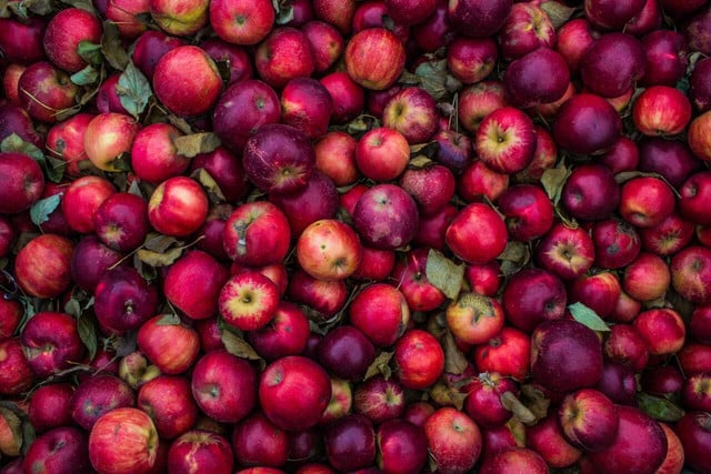 Apple cider vinegar is made from Freshly picked apples.