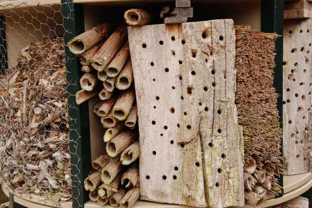 A great homemade birthday gift is a bug hotel, as it is a gift for the recipient and the planet! 