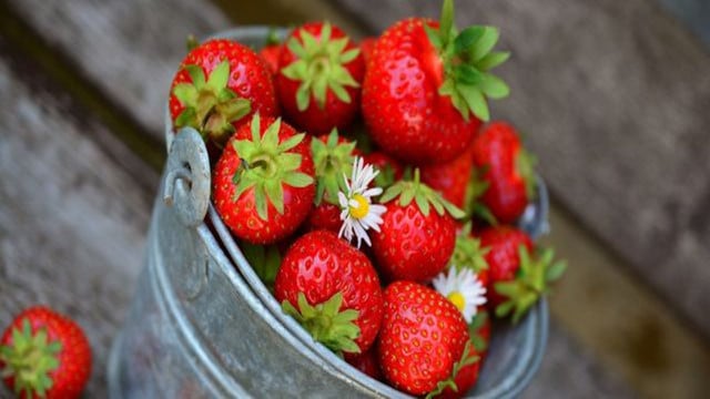 how to freeze strawberries