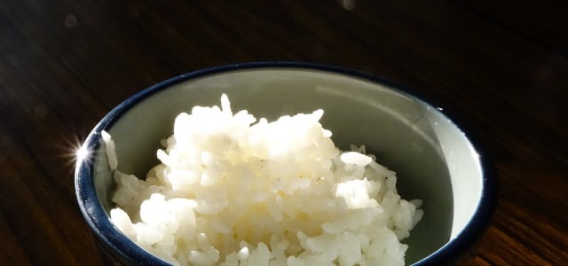 can you freeze cooked rice