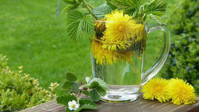 Dandelions can be found everywhere, making this a great regionally sourced coffee substitute.