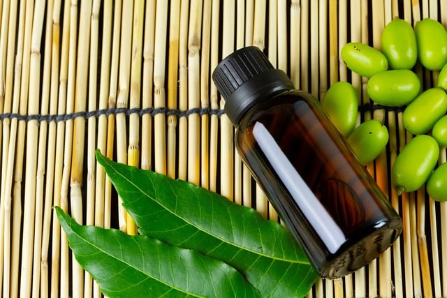 Neem oil has been used for centuries as a natural way to get rid of June bugs.