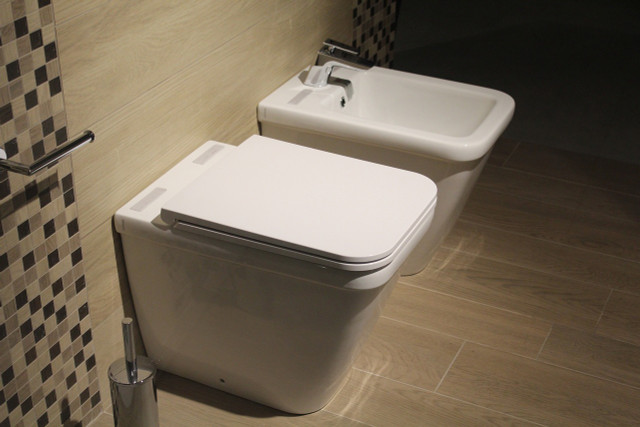 The water-efficient American Standard Studio S toilet looks like this (bidet not included).