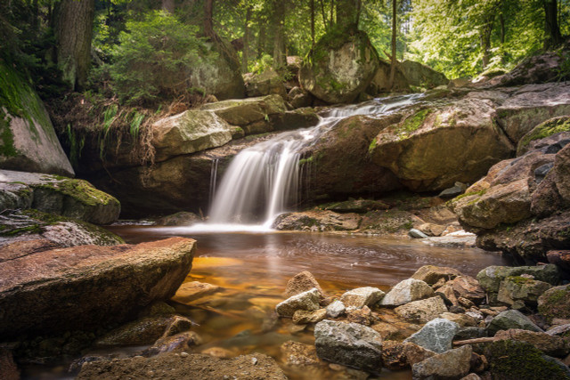 The Waterfall Glen Forest Preserve is known for its Rocky Glen waterfall and for some great hiking near Chicago. 
