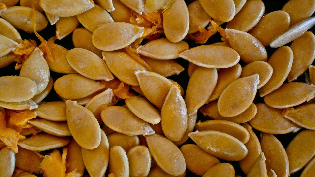 Raw pumpkin seeds are edible and delicious.