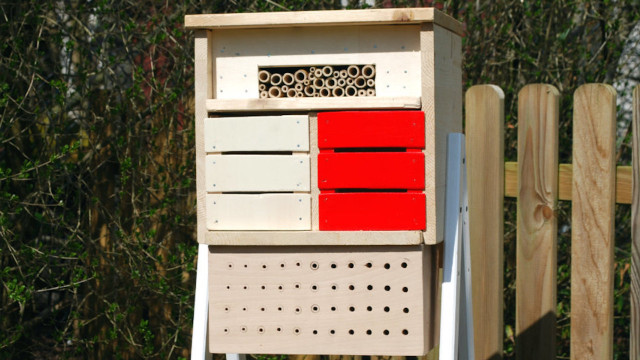 bug hotel