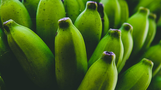 benefits of green bananas