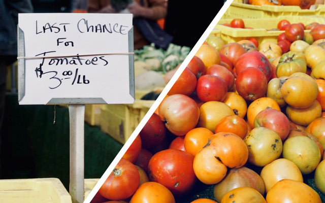 Season local organic foods tomatoes