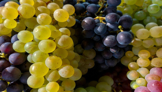 how to wash grapes