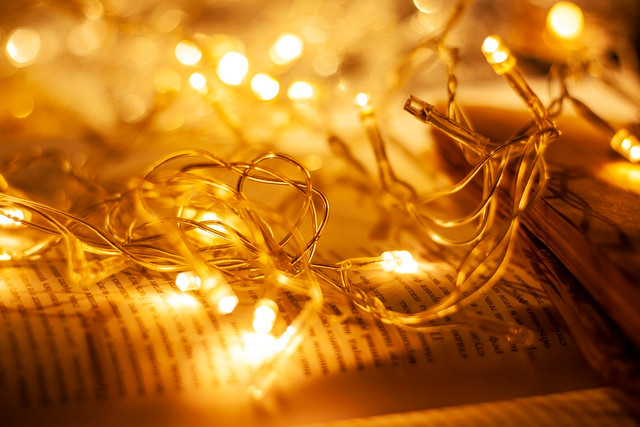 LED lights can help you save up to 75% of energy and are thus a more sustainable way to decorate your winter fort. 