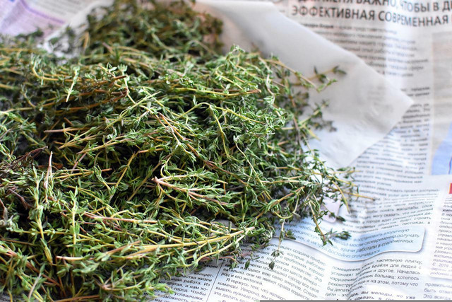 Consuming thyme supports a healthy immune system. 
