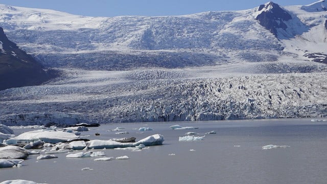 Are narwhals extinct? Not yet, but the effects of climate change in the Arctic are drastic.