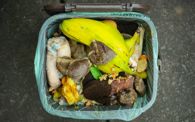 what can you compost 