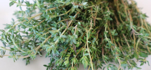 Drying Thyme