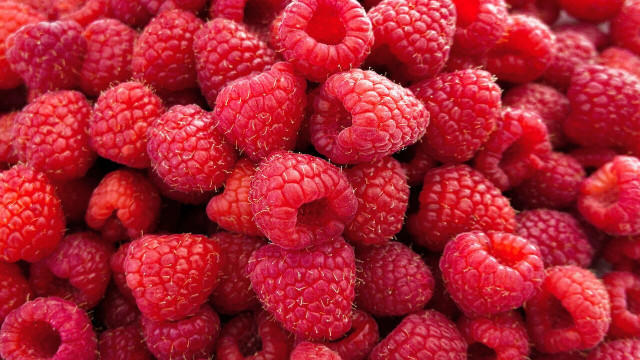how to store raspberries
