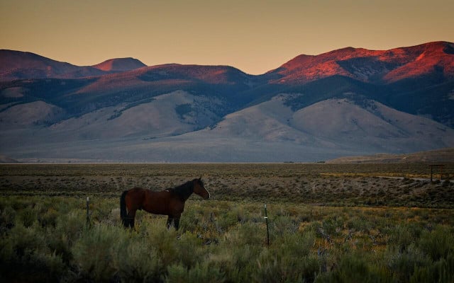 Some of the most underrated scenery can be found in Idaho. 