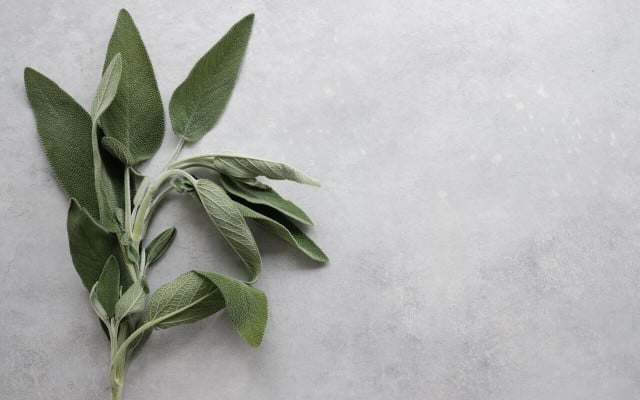 Try sage as an effective DIY mouthwash.