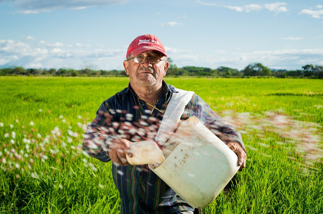 You will get your hands dirty at this agrihood.