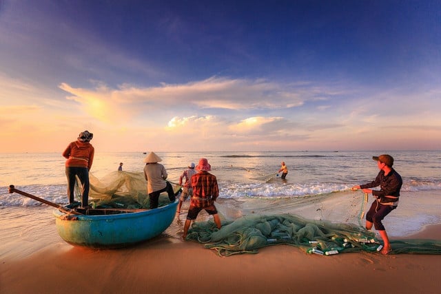 The modernization of fishing nets and gear can reduce the chance of bycatch.