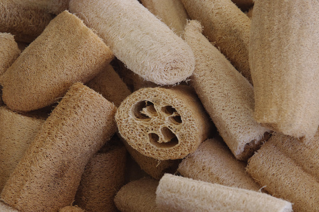 Natural loofahs are biodegradable and a great alternative to plastic loofahs. 