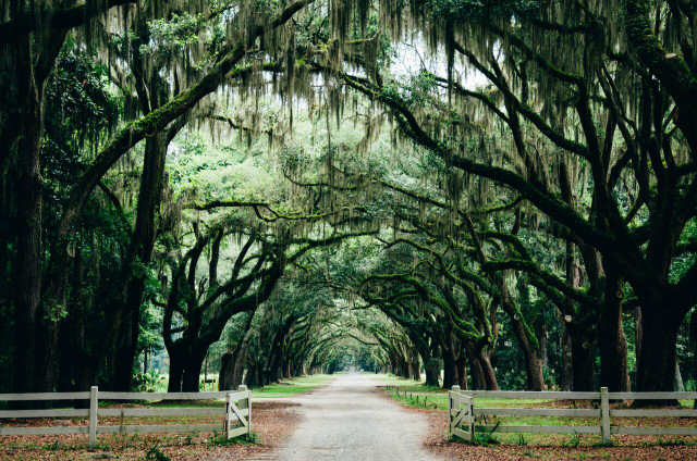 Stop off in Savannah, Georgia for some Southern charm.