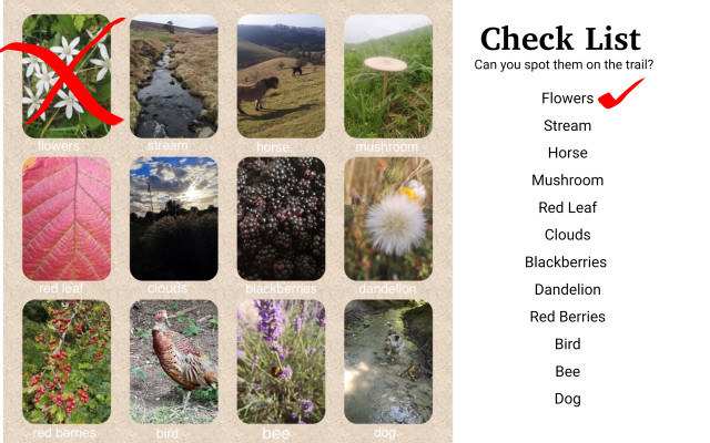 You can create your own bingo sheet with items that you know can be found along the trail.