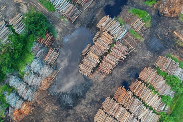 The leather industry is the main driver for deforestation globally.