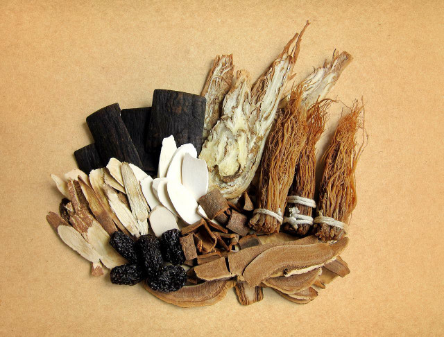 There are a wide array of herbs in Chinese herbal medicine that can help with period pain. 