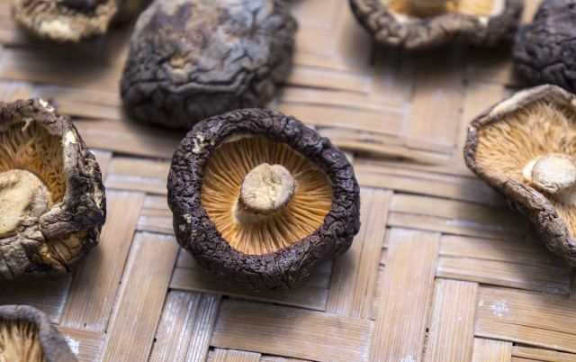 Shiitake mushrooms are a key part of our delicious vegan fish sauce recipe.